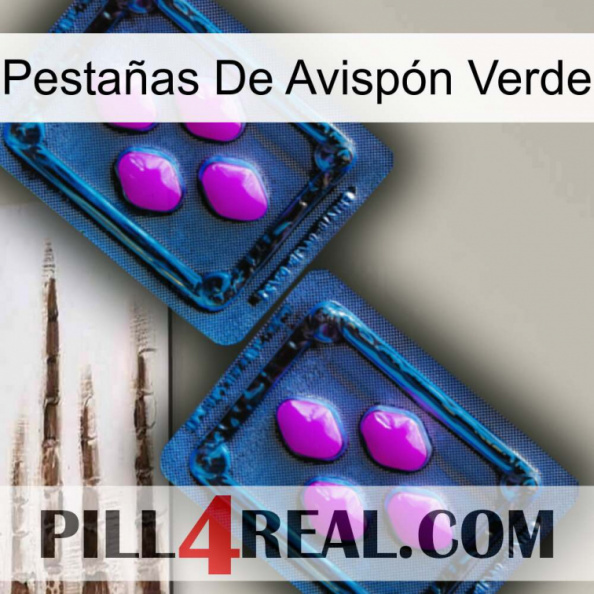 Pestañas De Avispón Verde 03.jpg